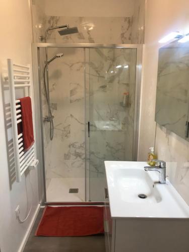 une salle de bain avec douche et lavabo dans l'établissement Grand studio rue piétonne Ajaccio, à Ajaccio