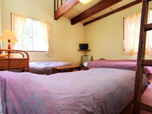 a bedroom with two beds and a tv in it at Rantanrirun ランタンリルン in Hakuba