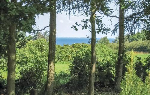 a view of the ocean through the trees at Holiday Home Asperup 55 in Asperup