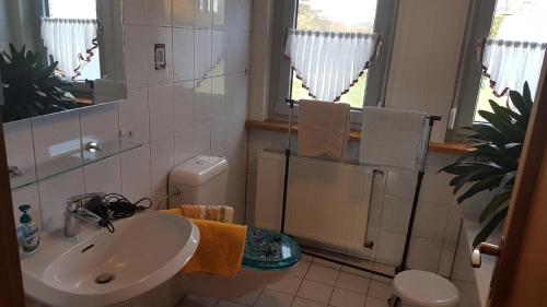 een badkamer met een wastafel en een toilet bij Ferienwohnung Demas in Gunzenhausen