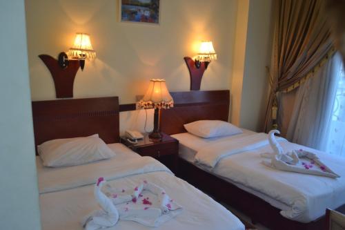 Green Desert Hotel – Photos 3