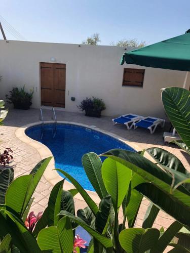 a swimming pool in the middle of a yard at Fontana Traditional House in Anarita