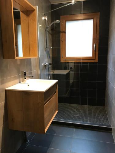 une salle de bain avec un lavabo et une douche avec une fenêtre dans l'établissement Piste B, à Morzine