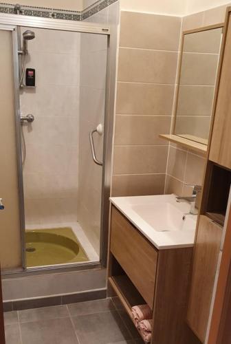 La petite salle de bains est pourvue d'une douche et d'un lavabo. dans l'établissement Chez maman, à Bassan