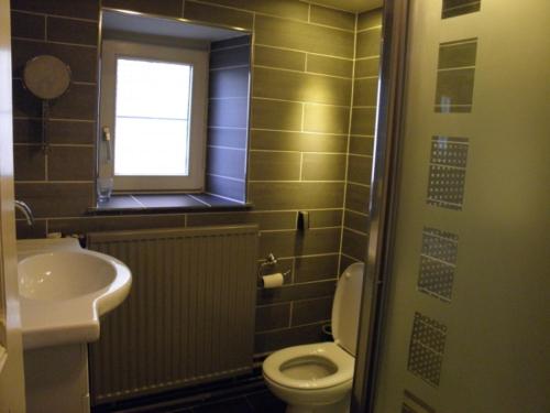 een badkamer met een toilet, een wastafel en een raam bij Le Vieux Tribunal in Durbuy