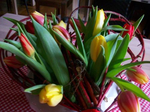 Imagine din galeria proprietății Gasthaus zum Engel în Fischerbach