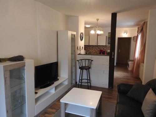 a living room with a couch and a tv and a kitchen at Ferienwohnungen am Hauptplatz in Pirna