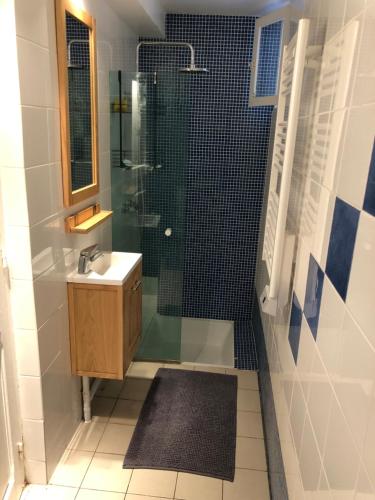 La salle de bains est pourvue d'une douche en verre et d'un lavabo. dans l'établissement Gite du manoir de l'étang, à Marines