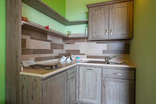 Dapur atau dapur kecil di Cavril Agriturismo