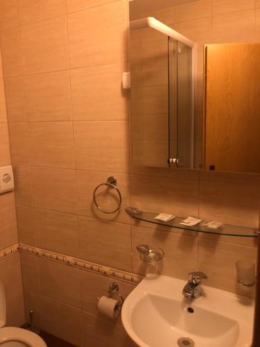 a bathroom with a sink and a toilet and a mirror at Slanický Dvor in Námestovo