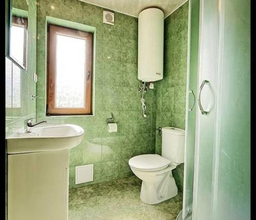a green bathroom with a toilet and a sink at Domki u Bejdaka in Bereżnica Wyżna