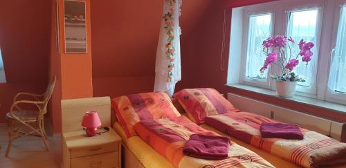 two beds in a room with red walls and windows at Gasthaus Pavillon in Dresden