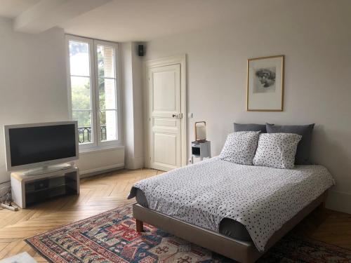 1 dormitorio con 1 cama y TV de pantalla plana en Château de Bel Ebat, en Nozay