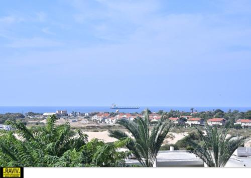 a view of a beach with palm trees and the ocean at Royal Suite Caesarea in Caesarea