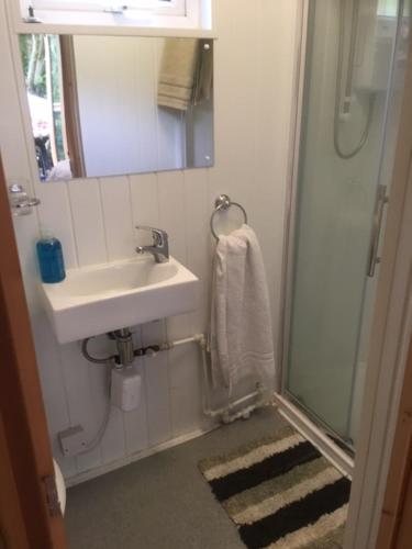 uma casa de banho com um lavatório e um chuveiro com um espelho. em Lodge em Yeovil