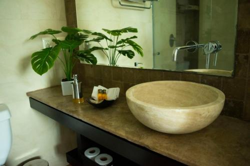 a bathroom with a large bowl sink and a plant at Giakor Suites - Gran Jardín in León