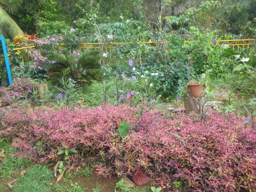 Jardin de l'établissement Chez Régine