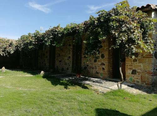 an old stone building with a tree in a yard at Il giardino di Don Peppino in Oristano