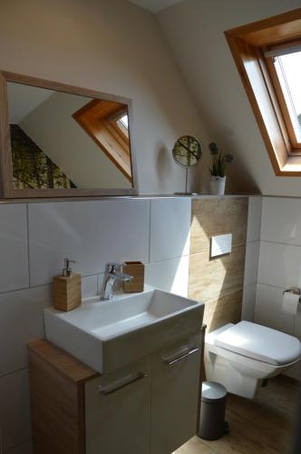 a bathroom with a sink and a toilet at Ferienhaus Eifel-Charme in Birgel