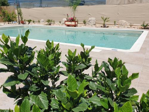a swimming pool with plants in front of it at Villa Yioukkas in Paphos City