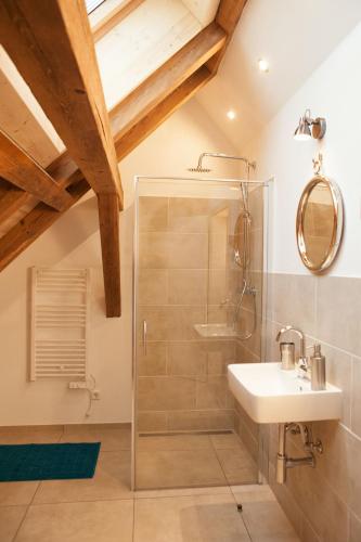 a bathroom with a shower and a sink at Sophies Scheune, nah beim Europapark in Ettenheim