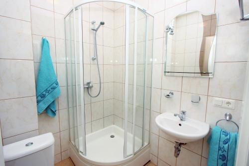 a bathroom with a shower and a sink at Ema in Palanga