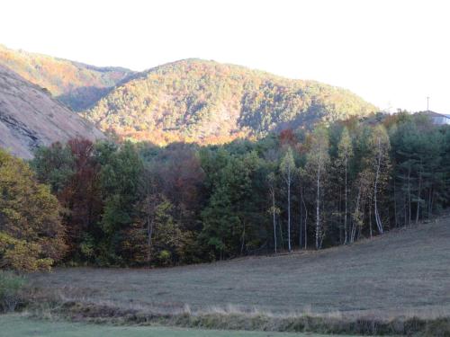 a hillside with a forest of trees in a field at Mon ecrin de nature rez de jardin in Seyne