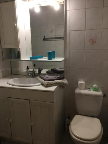 een badkamer met een wastafel, een toilet en een spiegel bij Au pieds des 3 vallées in Brides-les-Bains