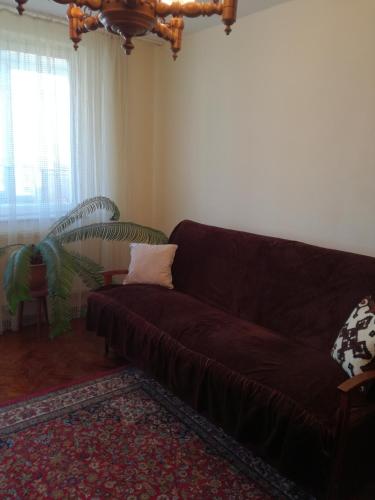 a living room with a brown couch and a window at Sara Apartman in Târgu-Mureş