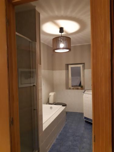 a bathroom with a bath tub and a sink at La Maison du Maître in Dinant