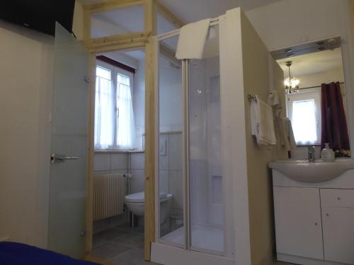 a bathroom with a shower and a sink and a toilet at Pension Zur Rose in Weil am Rhein