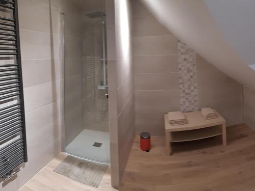 a bathroom with a shower and a walk in shower at Gite Le Petit Malsbach Eguisheim in Eguisheim