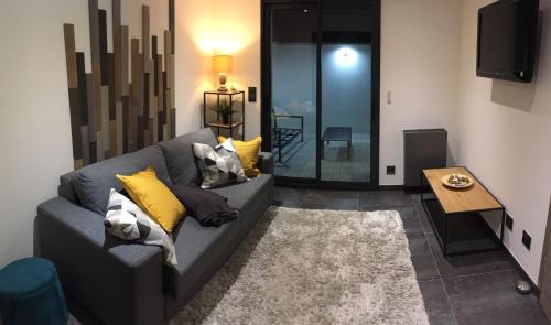 a living room with a gray couch and yellow pillows at Gite Le Petit Malsbach Eguisheim 3 étoiles in Eguisheim