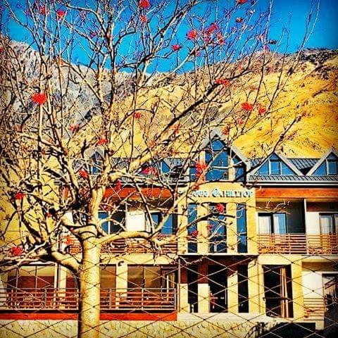 a building with a tree in front of it at Hilltop Kazbegi in Stepantsminda