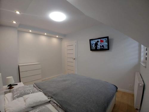 a bedroom with a bed and a tv on the wall at Apartament Dorota z garażem in Szklarska Poręba
