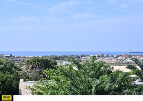a view of a beach with palm trees and the ocean at Royal Suite Caesarea in Caesarea