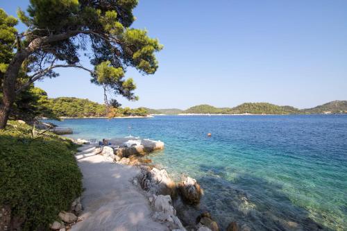 a beach with a tree and the water at Apartments Luka in Ubli