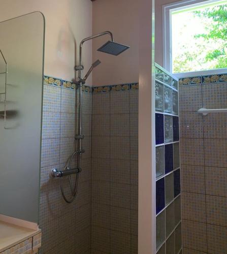 Un baño con ducha con puerta de cristal. en RESIDENCE LA TAUPINE MANDARINE, en Le Diamant