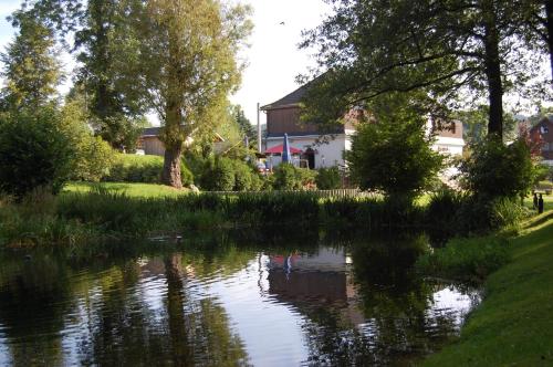 a view of a pond with a house in the background at Landgasthof "Am Park" in Crottendorf