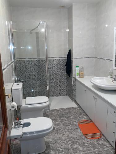 uma casa de banho com um WC, um chuveiro e um lavatório. em A casiña do Rodri em Ribadavia