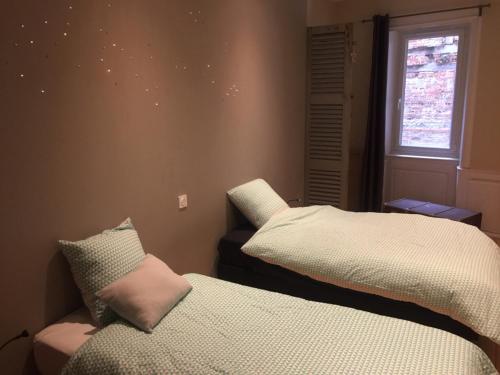 - une chambre avec 2 lits et une fenêtre dans l'établissement LES LOGES D'ARSENE, à Aurillac
