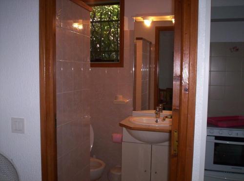 een badkamer met een wastafel, een toilet en een spiegel bij Résidence Les Aulnes in Porto-Vecchio