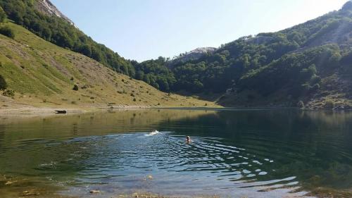 a person swimming in a lake in the mountains at Katun Mokra accommodation & horseback riding in Podgorica