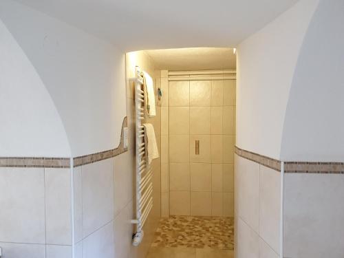 a bathroom with a walk in shower next to a toilet at Haus 66 in Obertraun