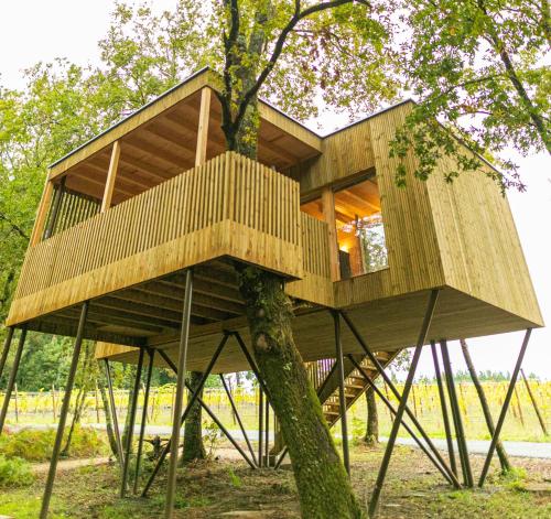 Cabañas Enoturismo María Manuela Pousada Preços 2024 atualizados 