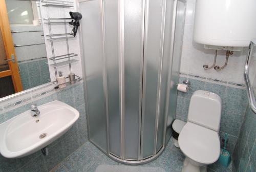 een badkamer met een toilet en een wastafel bij Palangos Saulegraza in Palanga