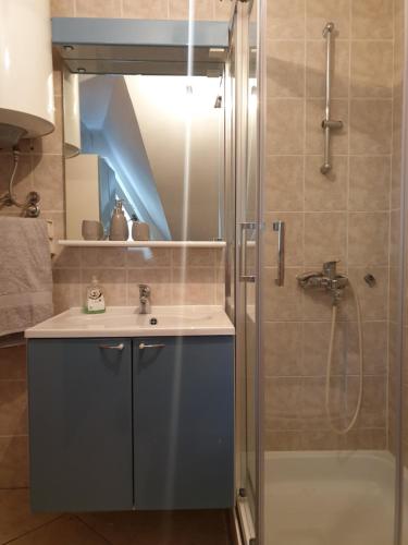 Ένα μπάνιο στο Apartment Barje I