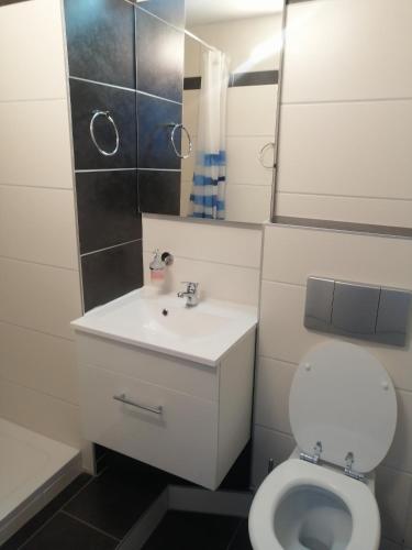 a bathroom with a white toilet and a sink at Haus Pucher in Sankt Florian am Inn