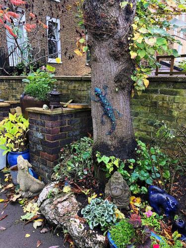 a garden with a tree with a lizard painted on it at Caspian Hotel in London