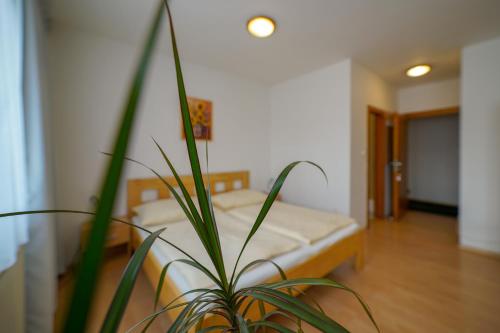 a bedroom with a bed and a potted plant at Penzion Fantazia Poprad - Self check-in in Poprad